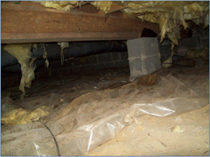 wet crawl space with insulation hanging down