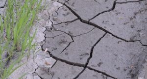 cracked ground from draught