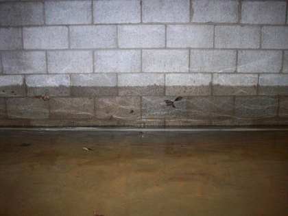 Foundation Seepage and Wet Basements in Iowa