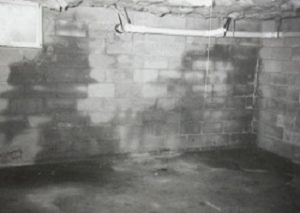 wet basement walls