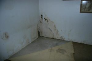 water damage from flooded basement
