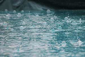 Heavy Rain
